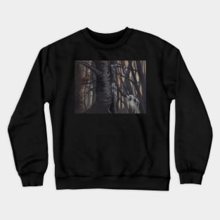 Alsea Falls, methuselah lichen Crewneck Sweatshirt